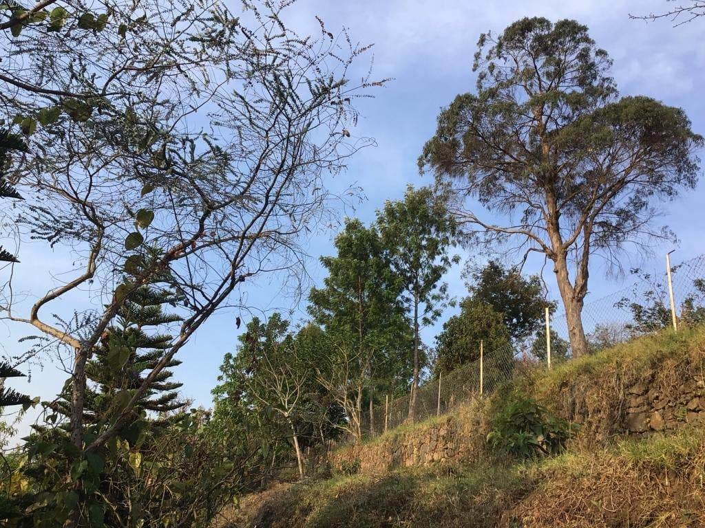 Photo by 4rest Inn