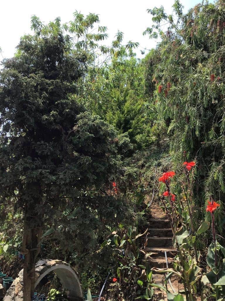 Photo by 4rest Inn